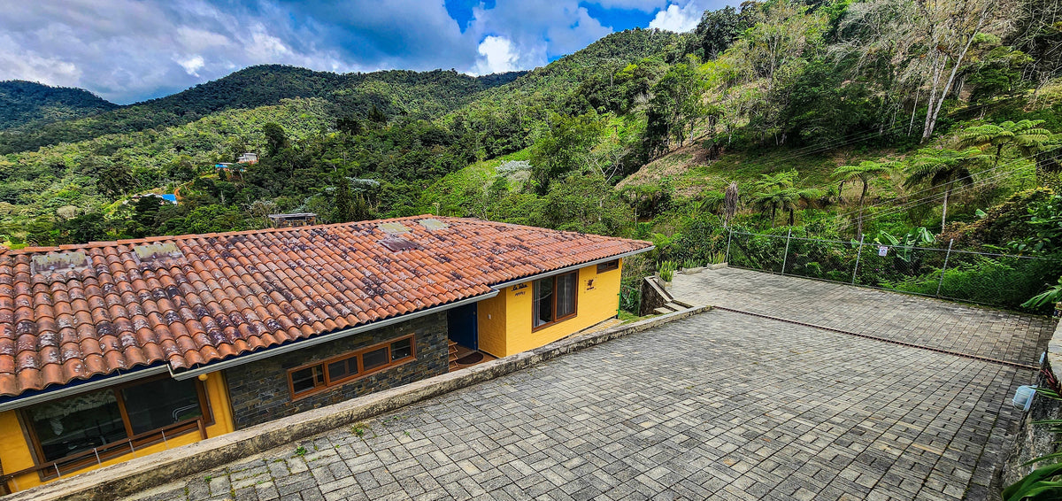 Where to Stay for Birding Near Cali, Colombia: Why a birding lodge in the Valle del Cauca beats a city hotel