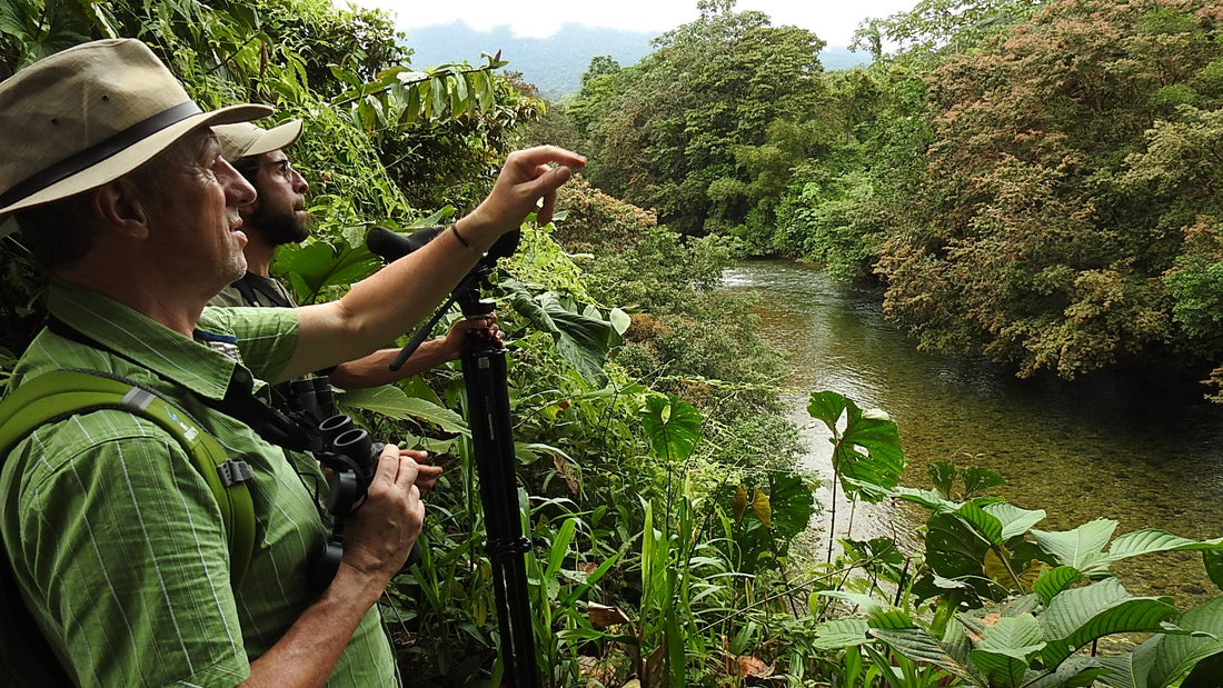 Birding San Cipriano: A Field Guide from 15 Years on the Trail