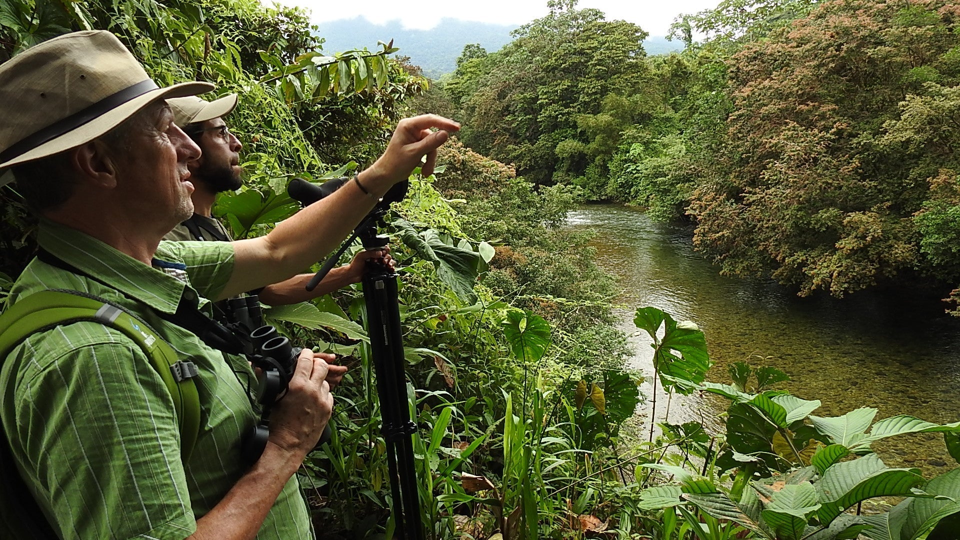 Birding San Cipriano: A Field Guide from 15 Years on the Trail
