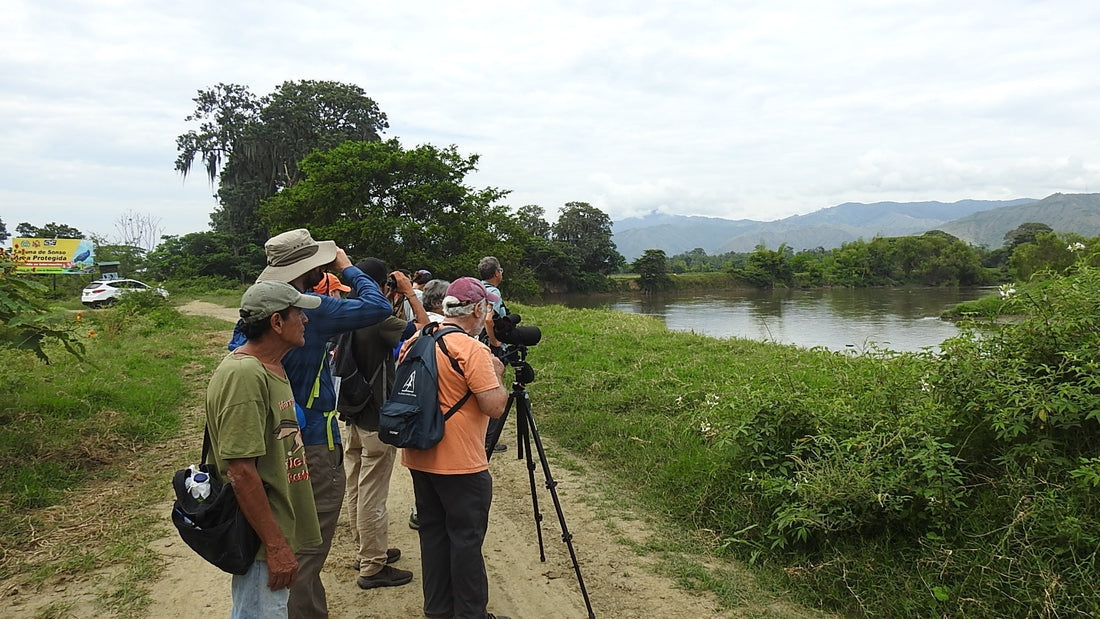 Birding Laguna de Sonso from Yotoco Lodge | Birdwatching Cauca Valley, Colombia