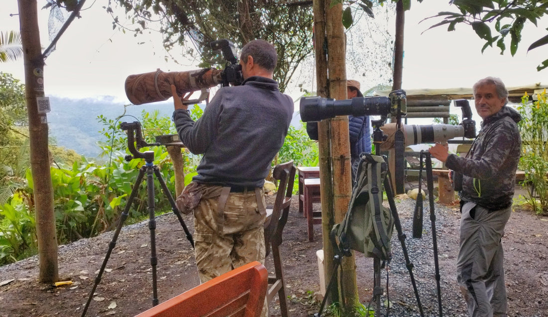Birding the Km 18 Road & Finca La Florida