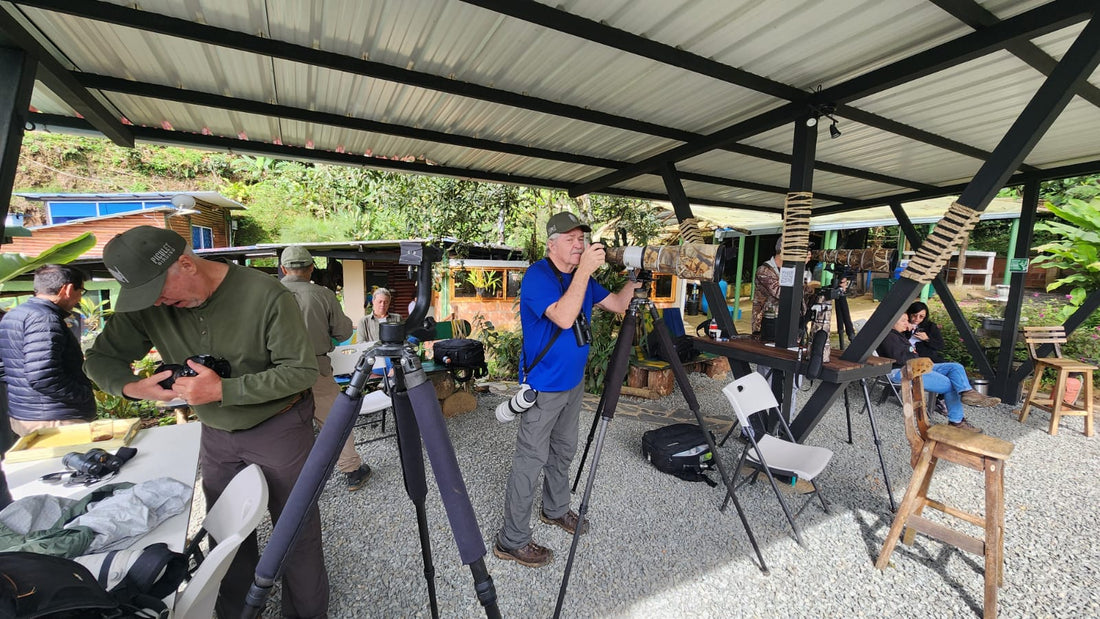 Why Valle del Cauca is the Best Place  to Go Birding in Colombia