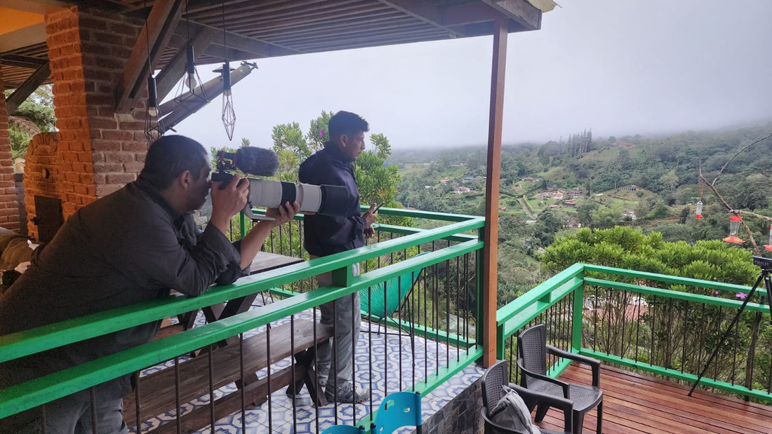 Birding Day Trips From Cali: The Best One-Day Options in the Western Andes