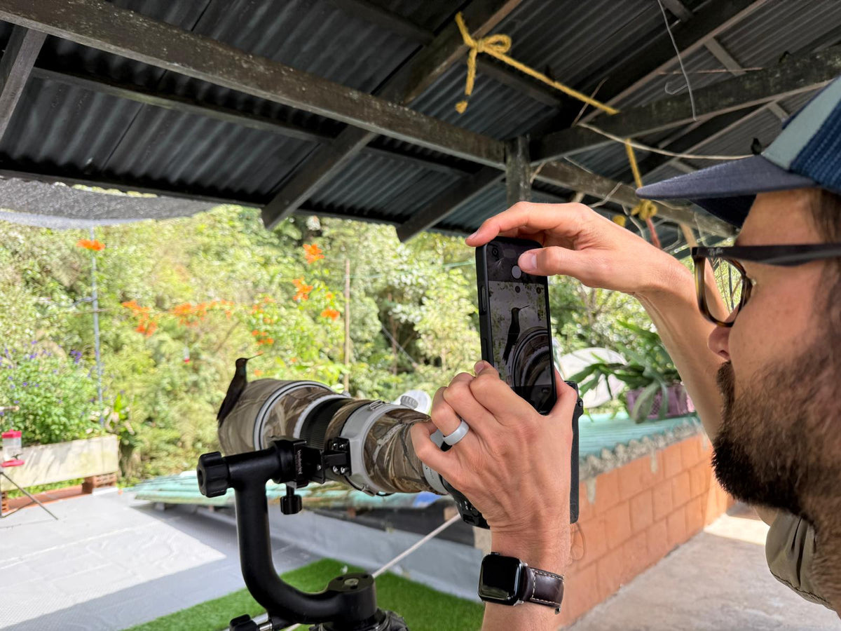Birding in Colombia for Beginners: How to Start in the Best Country on Earth