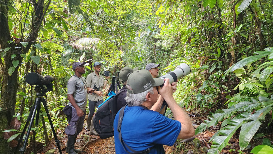 The Cali–Buenaventura Road: One of Colombia's Great Birding Routes, Kilometer by Kilometer