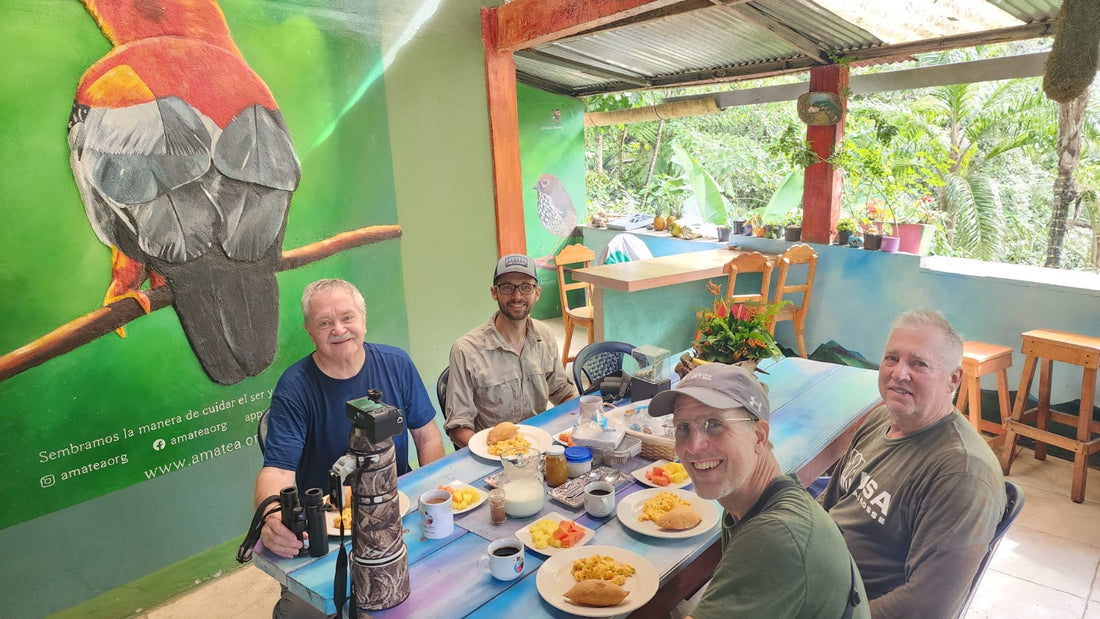 Doña Dora Birding: What to Expect, When to Go, and How to Get There