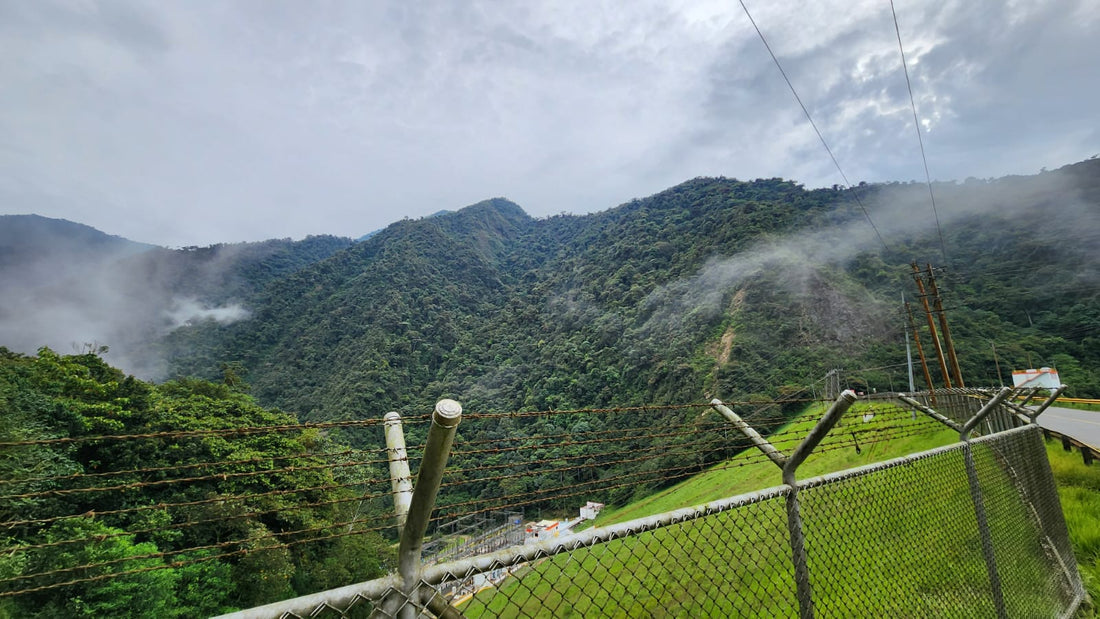 Birding Río Bravo: A Rising Western Andes Hotspot Near Cali, Colombia